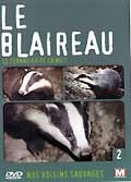 Le blaireau - le terrasier de la nuit -