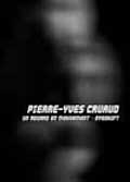 Pierre-yves cruaud: un regard en mouvement