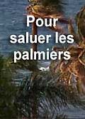 Pour saluer les palmiers