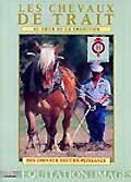 Les chevaux de trait