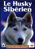Le husky siberien