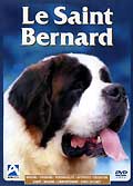 Le saint bernard