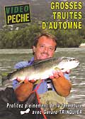 Grosses truites d'automne