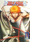 Bleach - dvd 11