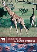 Les plus grands animaux d'afrique
