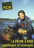 La pêche à pied - coquillages et crustacés