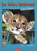 Bebes animaux - les felins