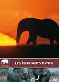 Les elephants d'inde