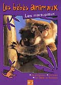 Bebes animaux - les marsupiaux