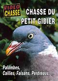 Chasse du petit gibier (palombes, cailles, faisans, perdreaux)