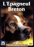 L'epagneul breton