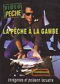 La pêche a la gambe