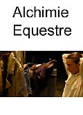 Alchimie equestre