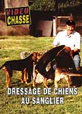 Dressage de chiens au sanglier