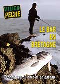 Le bar en bretagne