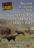 Slovensky kopov dachsbracke erdelyi kopo (education et conduite à la chasse)