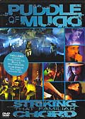 Puddle of mudd : striking that familiar chord