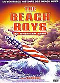 The beach boys an american band