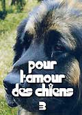 Pour l'amour des chiens n°3 : le flat coated