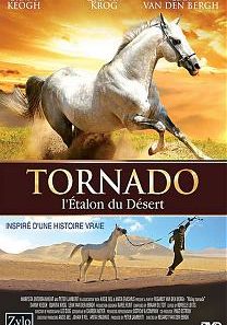 Tornado, l'étalon du désert