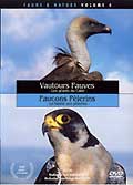 Faune & nature - volume 4