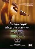 Vie sauvage dans les roseaux