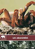 Les araignées