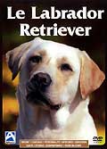 Le labrador retriever