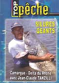 Silures géants   (camargue : delta du rhône)
