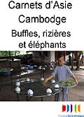 Carnets d asie - cambodge - buffles, rizieres et elephants