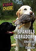 Spaniels & labradors (education et conduite)