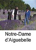 Notre dame d'aiguebelle