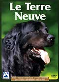 Le terre neuve
