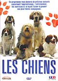 Les chiens