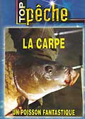 La carpe, un poisson fantastique
