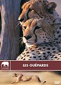 Les guépards