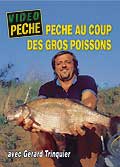 Pêche au coup des gros poissons