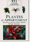 Plantes d'appartement 1 : bien cultiver monstera - pothos...