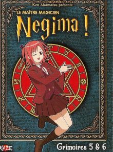 Le maître magicien negima ! - grimoire 5 & 6