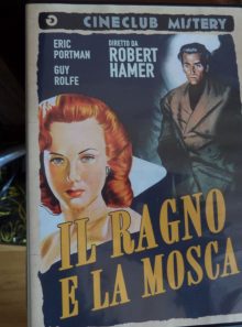 Il ragno e la mosca