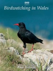 Dvd guide to birdwatching in wales