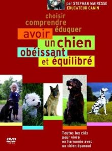 Avoir un chien obéissant et équilibré