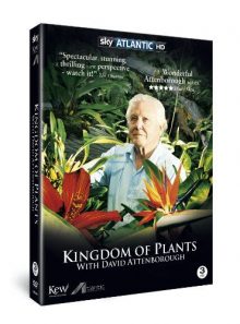 Kingdom of plants