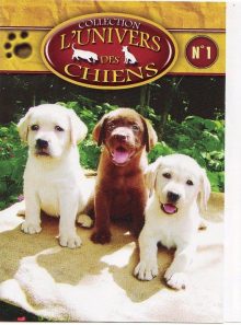 L'univers des chiens  numéro 1
