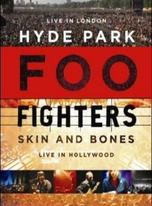 Foo fighters - skin and bones