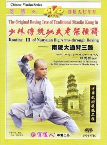 Routine 3 of nanyuan big arms through boxing