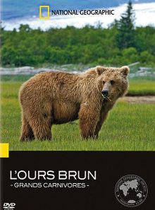 National geographic - grands carnivores : l'ours brun