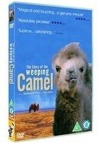 Story of the weeping camel [import anglais] (import)