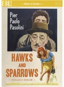 Hawks and sparrows