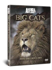 Discovery channel [import anglais] (import)